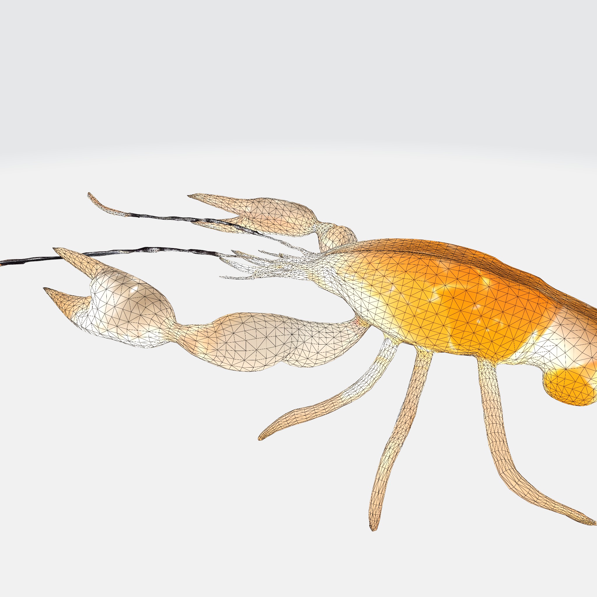 river lobster 3D model_5