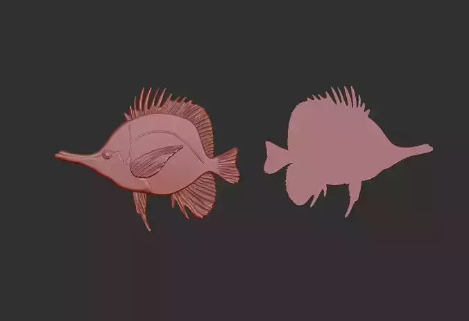 longnose butterfly fish