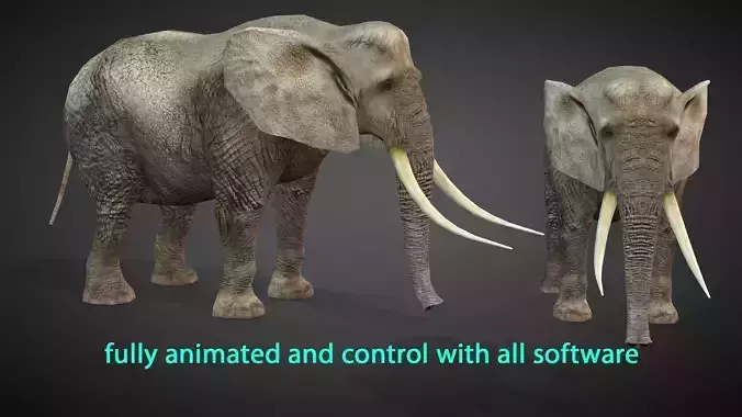 African Elephant Animated 3D model Low-poly 3D model