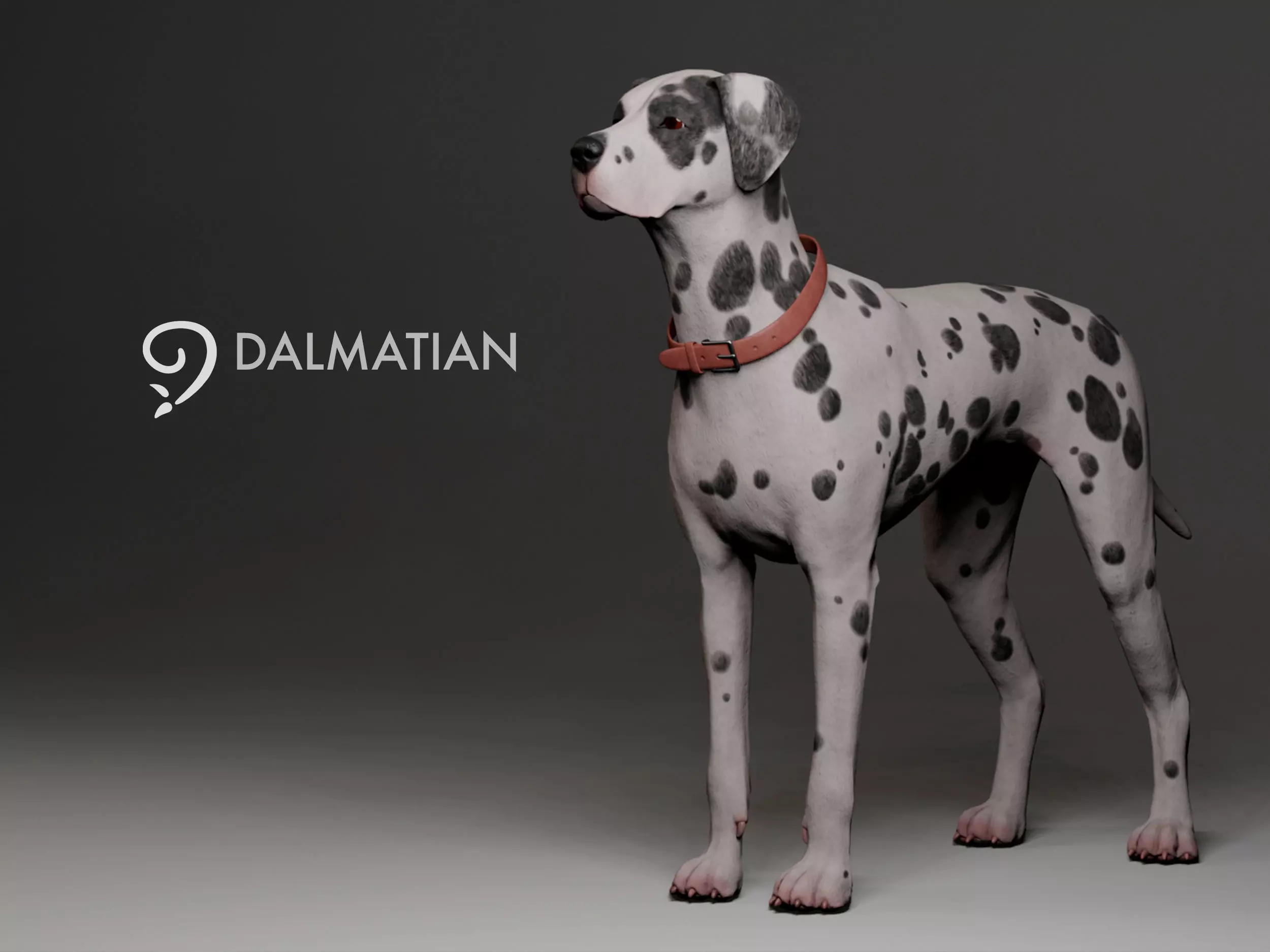 Dalmatian Low-poly 3D model