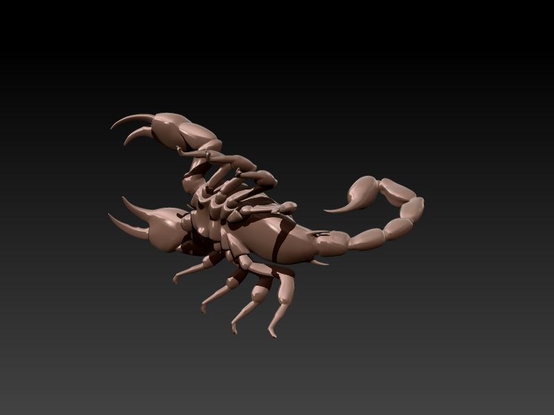 Scorpion 3D print model_21