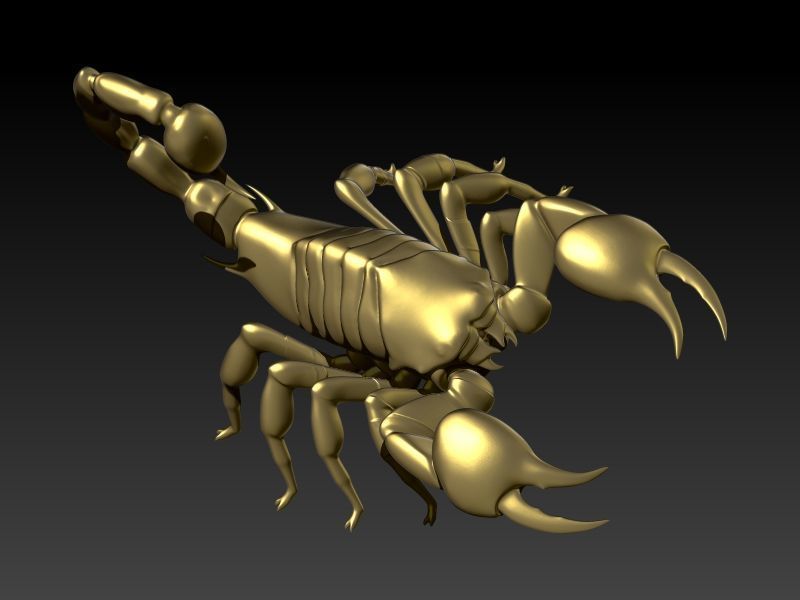 Scorpion 3D print model_7