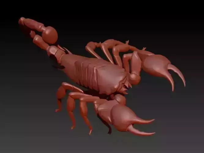 Scorpion 3D print model