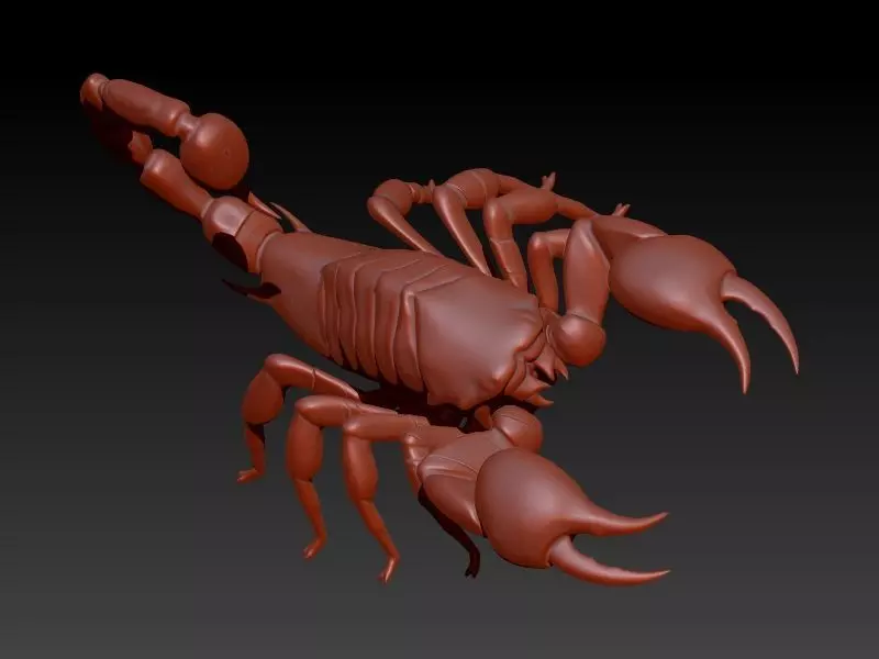 Scorpion 3D print model_0