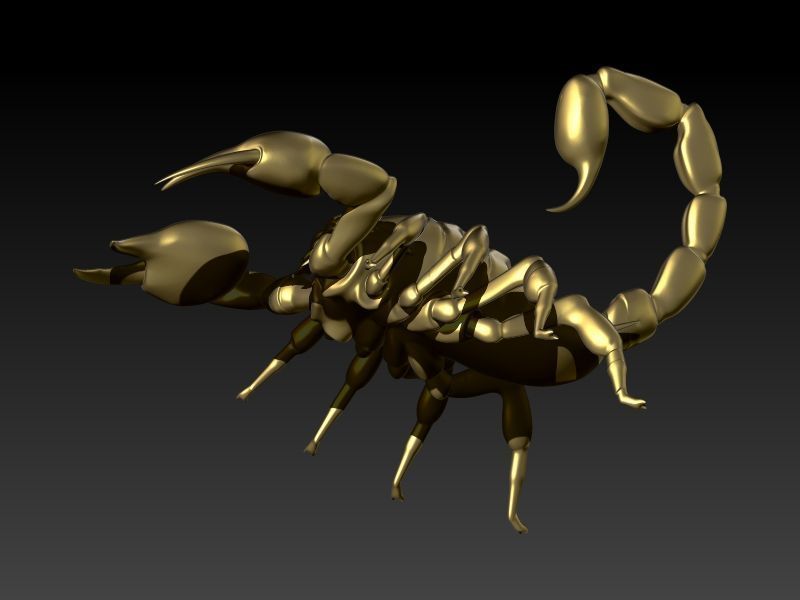Scorpion 3D print model_13