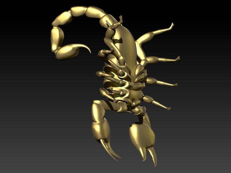 Scorpion 3D print model_10