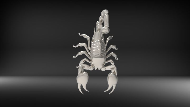 Scorpion 3D print model_22