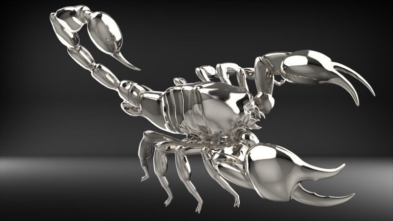 Scorpion 3D print model_27