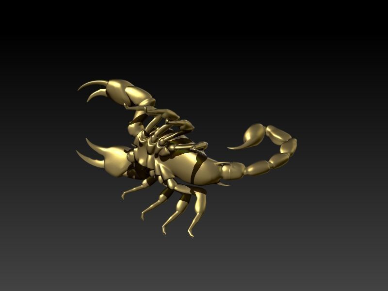Scorpion 3D print model_15