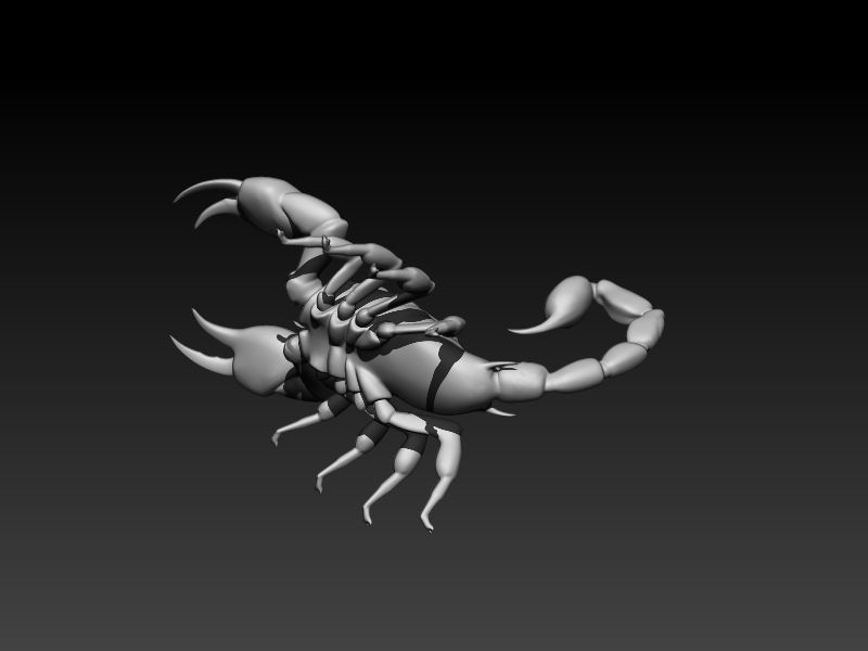 Scorpion 3D print model_12