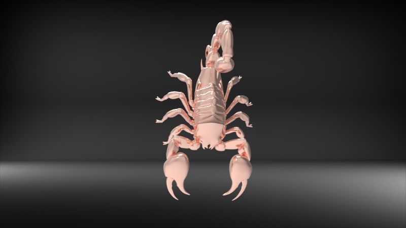 Scorpion 3D print model_24