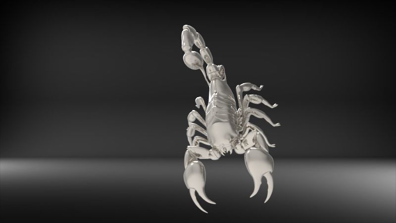 Scorpion 3D print model_25