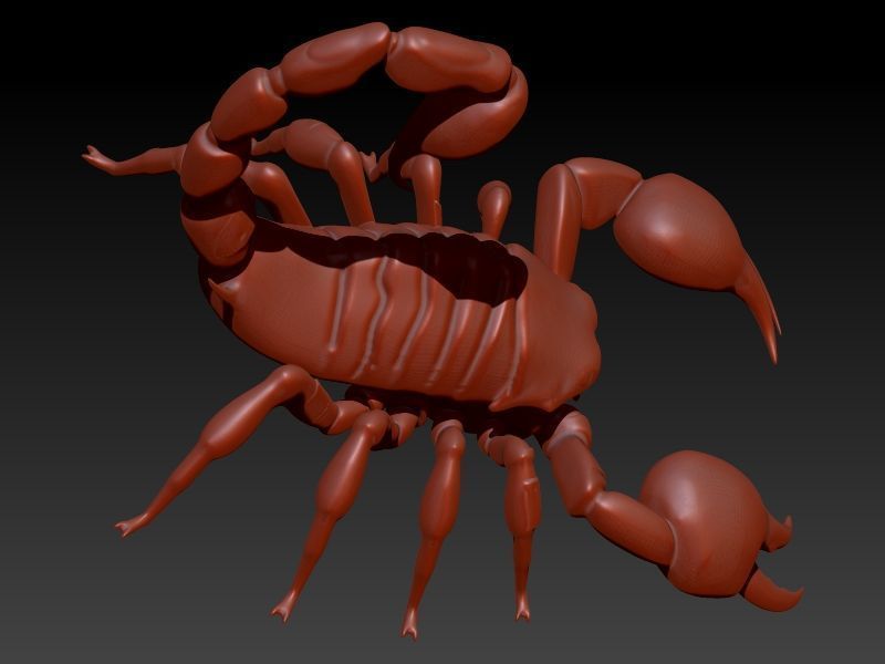 Scorpion 3D print model_19