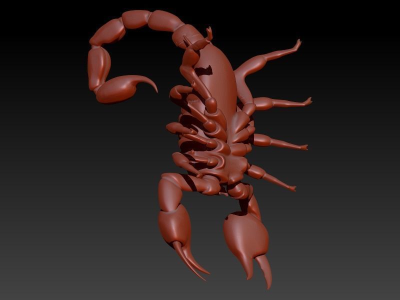 Scorpion 3D print model_4