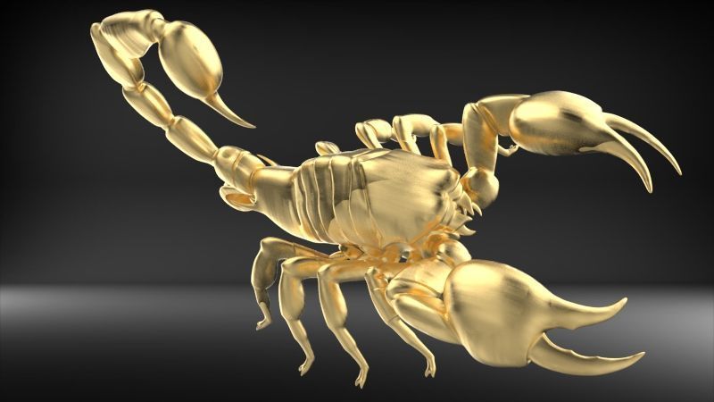Scorpion 3D print model_28