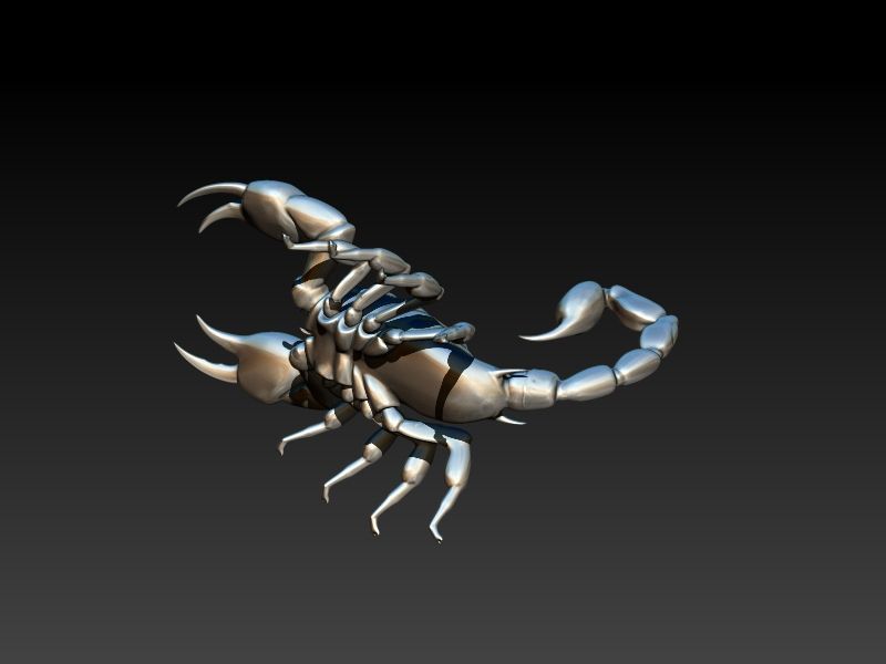 Scorpion 3D print model_29