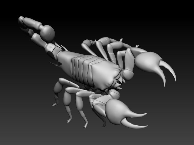 Scorpion 3D print model_17