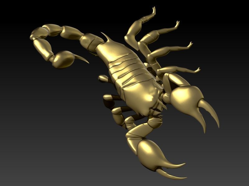 Scorpion 3D print model_20