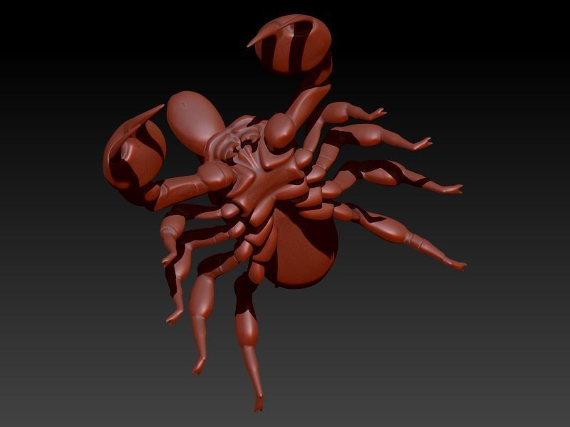 Scorpion 3D print model_8