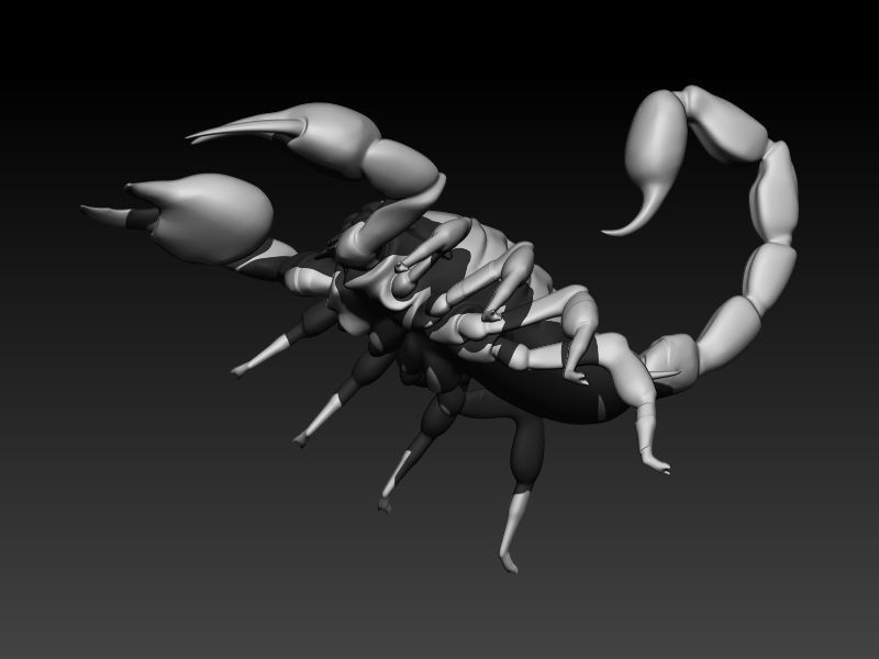 Scorpion 3D print model_18