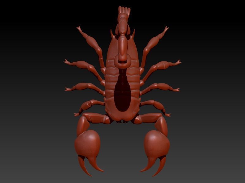Scorpion 3D print model_5