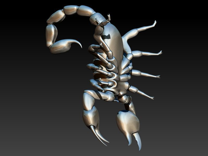 Scorpion 3D print model_9