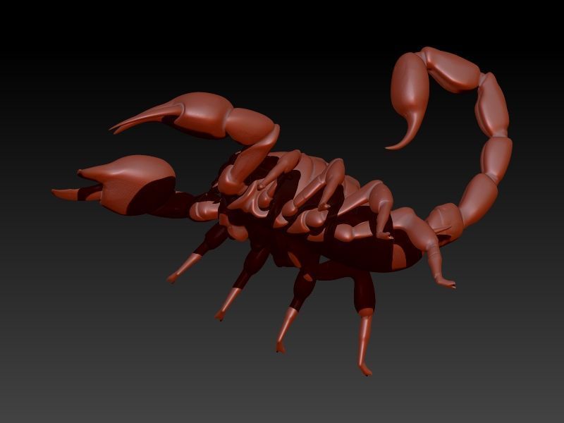 Scorpion 3D print model_30