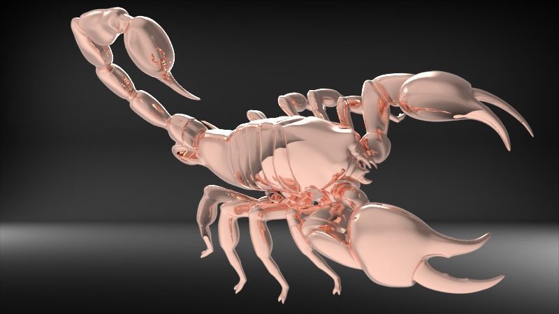 Scorpion 3D print model_26