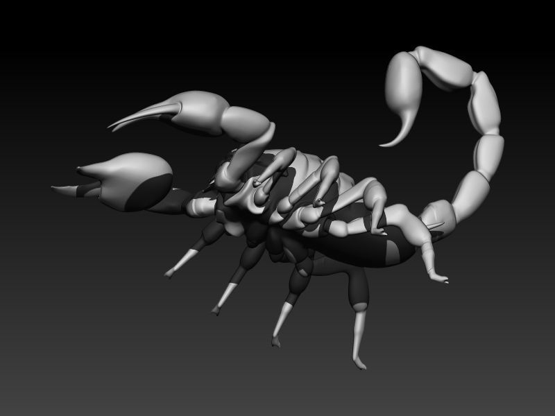 Scorpion 3D print model_1
