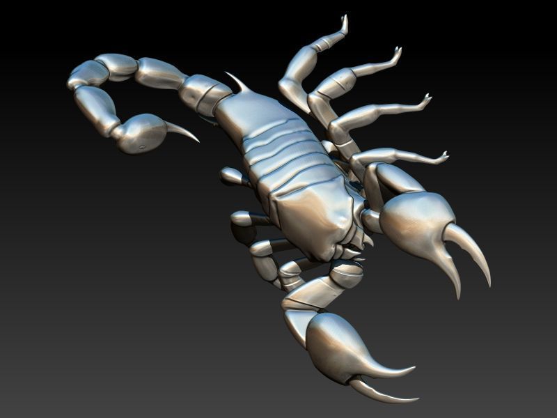 Scorpion 3D print model_11
