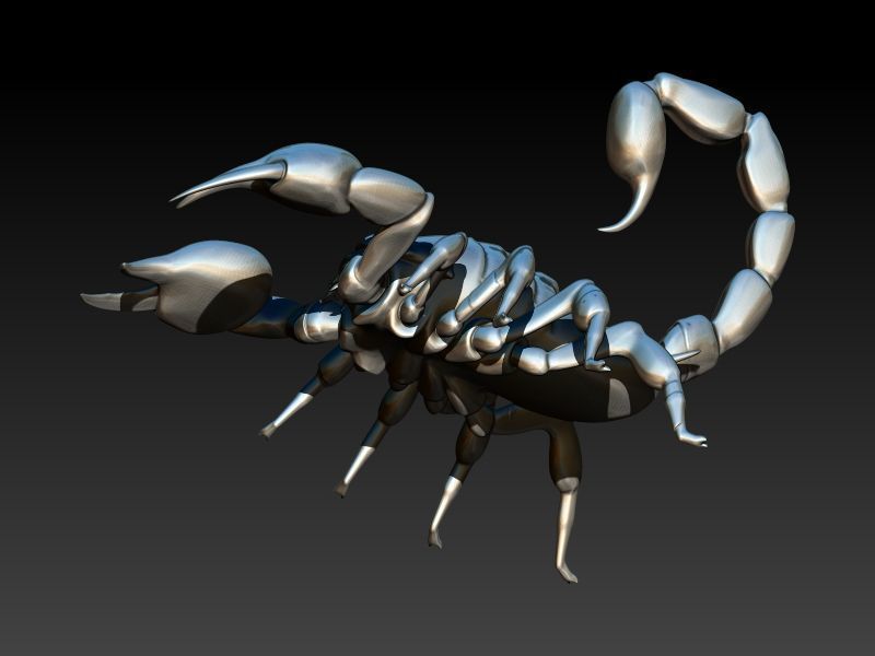 Scorpion 3D print model_2