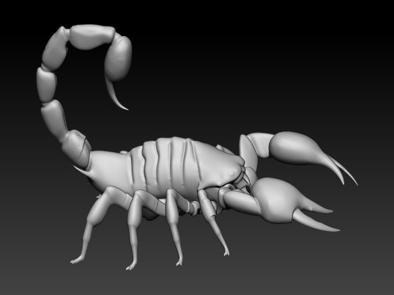 Scorpion 3D print model_14