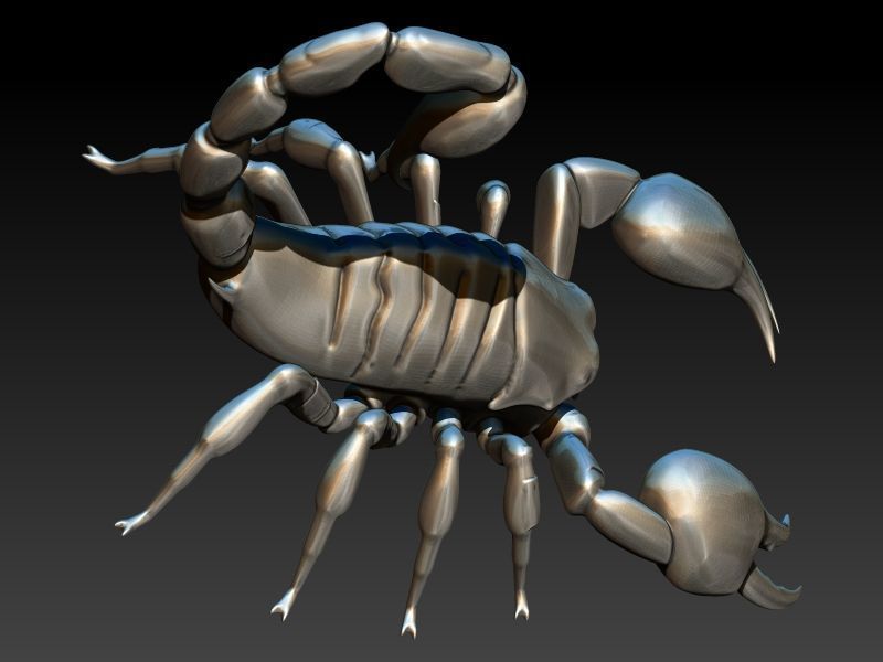 Scorpion 3D print model_3
