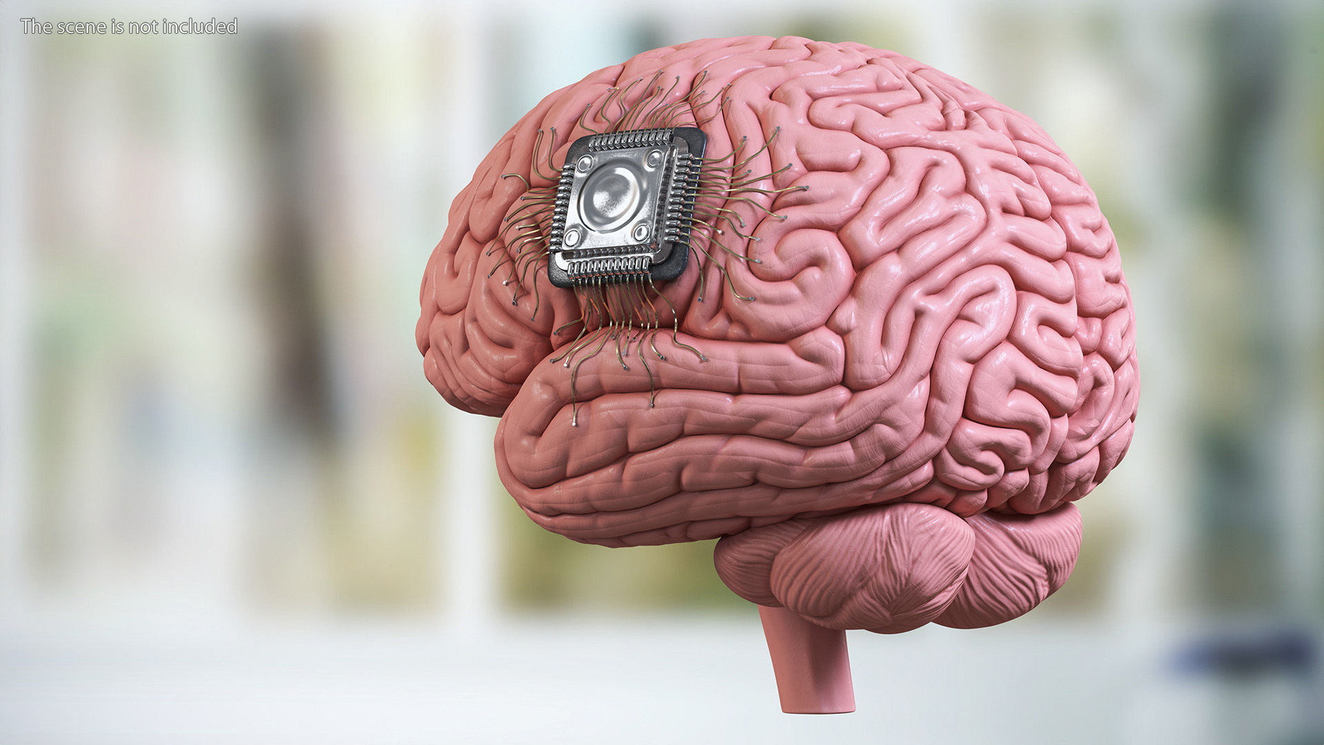 Human Brain With Implanted Microchip for 3D Print 3D print model