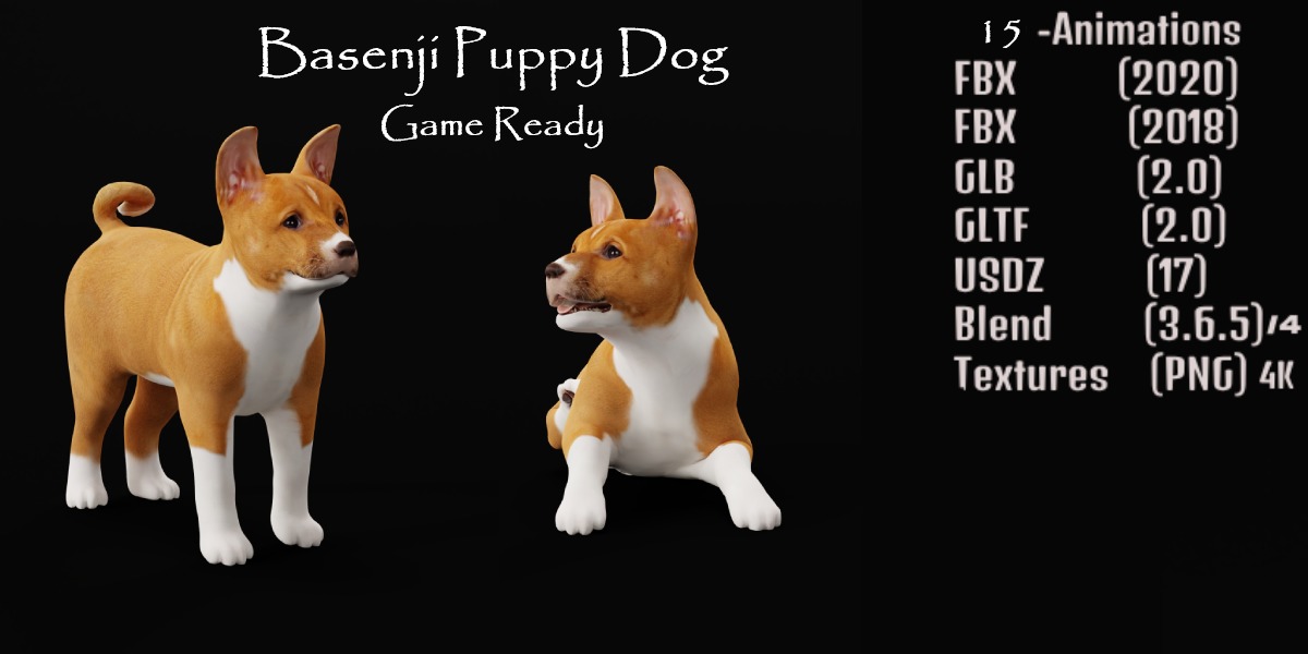 Dogs Family Assets Bundle  Low-poly 3D model_49
