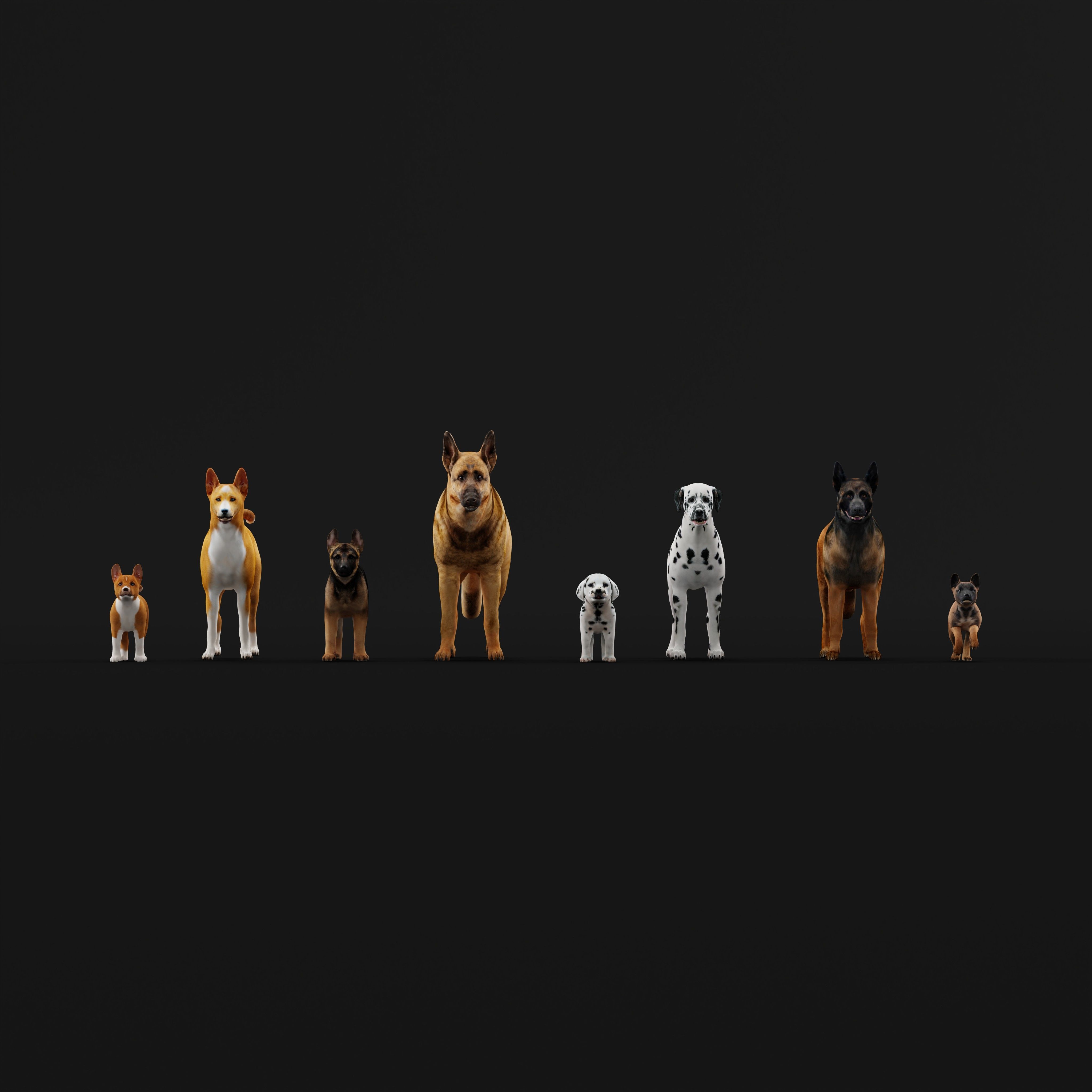 Dogs Family Assets Bundle  Low-poly 3D model_14