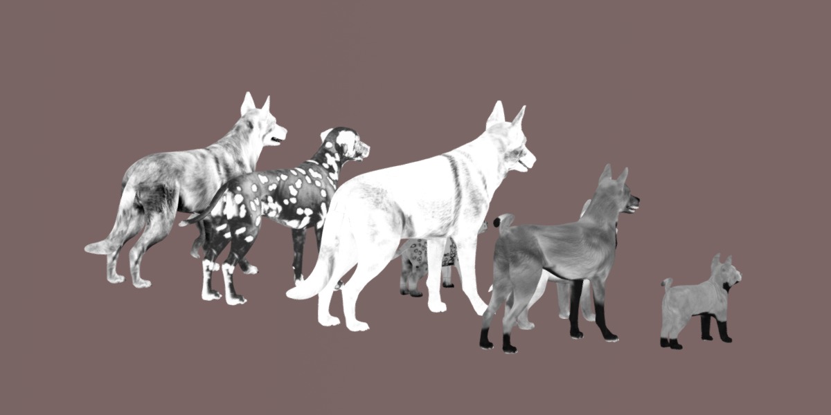 Dogs Family Assets Bundle  Low-poly 3D model_20