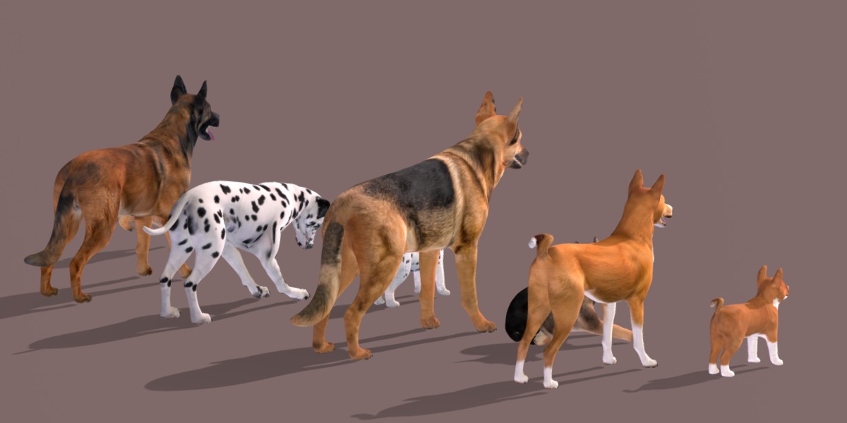 Dogs Family Assets Bundle  Low-poly 3D model_25