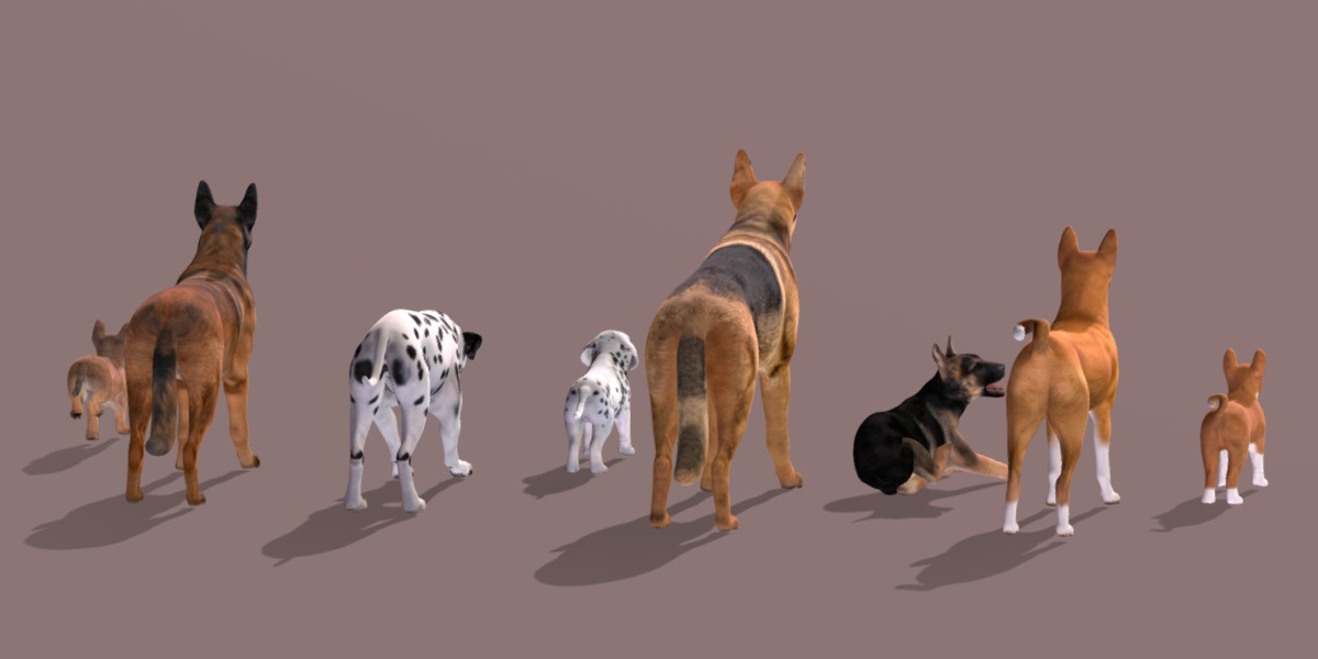 Dogs Family Assets Bundle  Low-poly 3D model_36