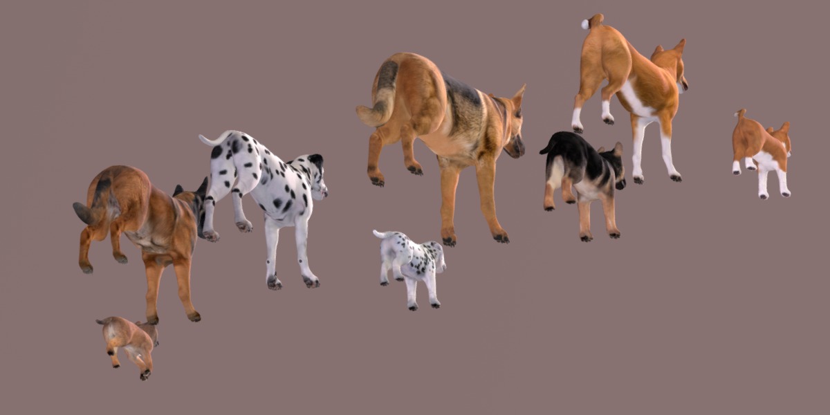 Dogs Family Assets Bundle  Low-poly 3D model_23