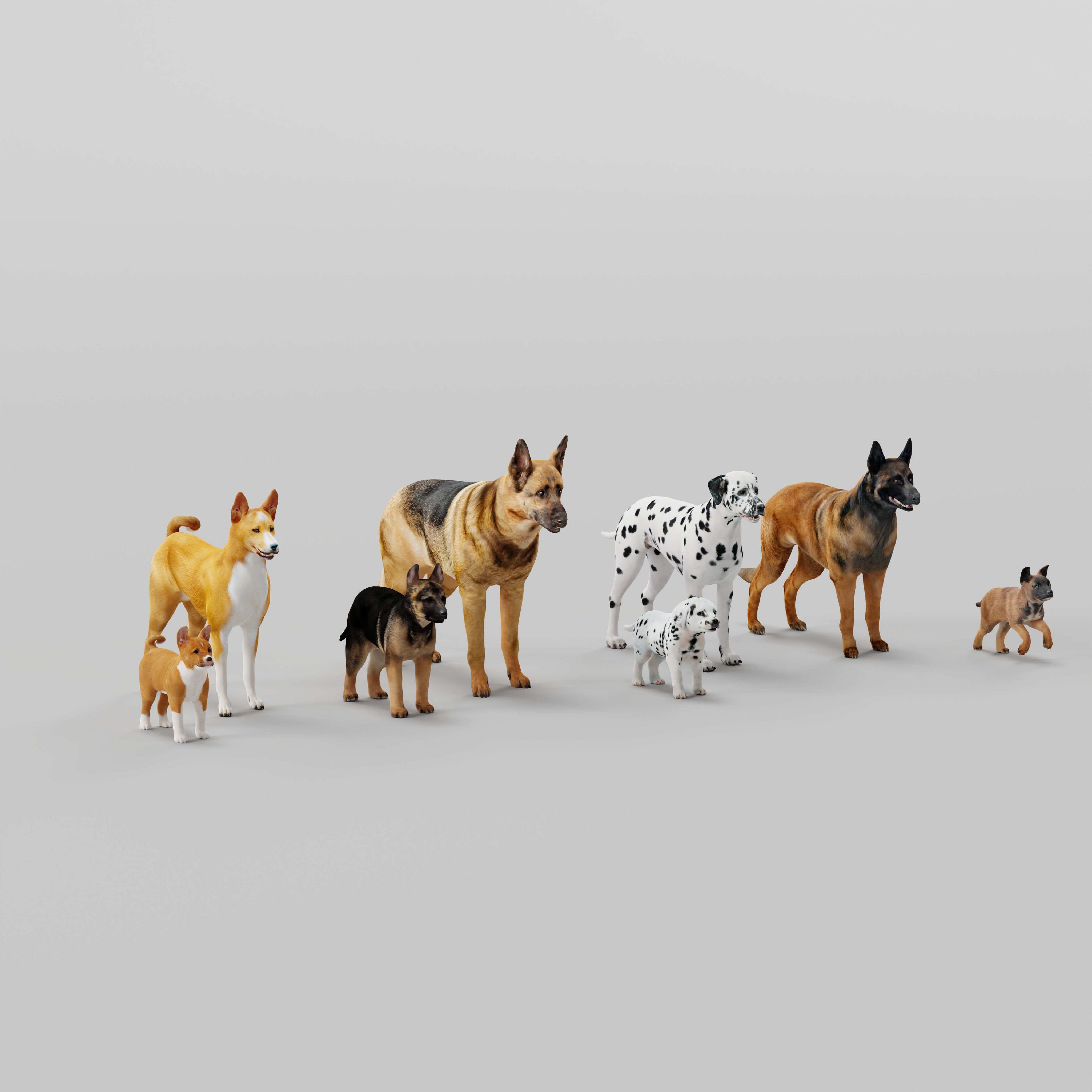 Dogs Family Assets Bundle  Low-poly 3D model_2