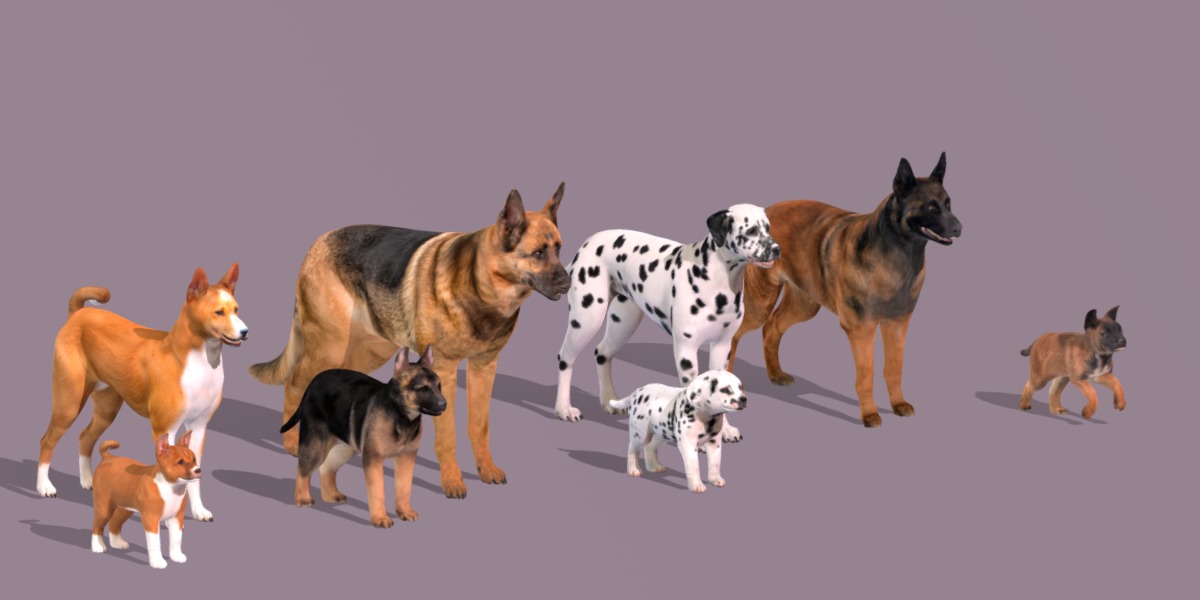 Dogs Family Assets Bundle  Low-poly 3D model_3