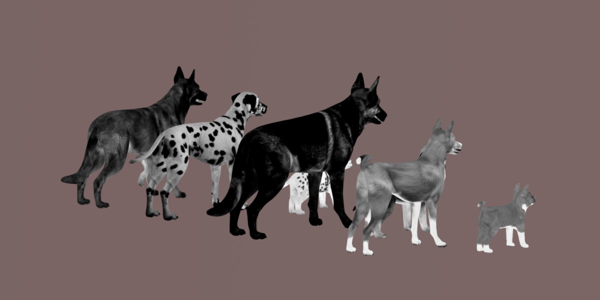 Dogs Family Assets Bundle  Low-poly 3D model_21