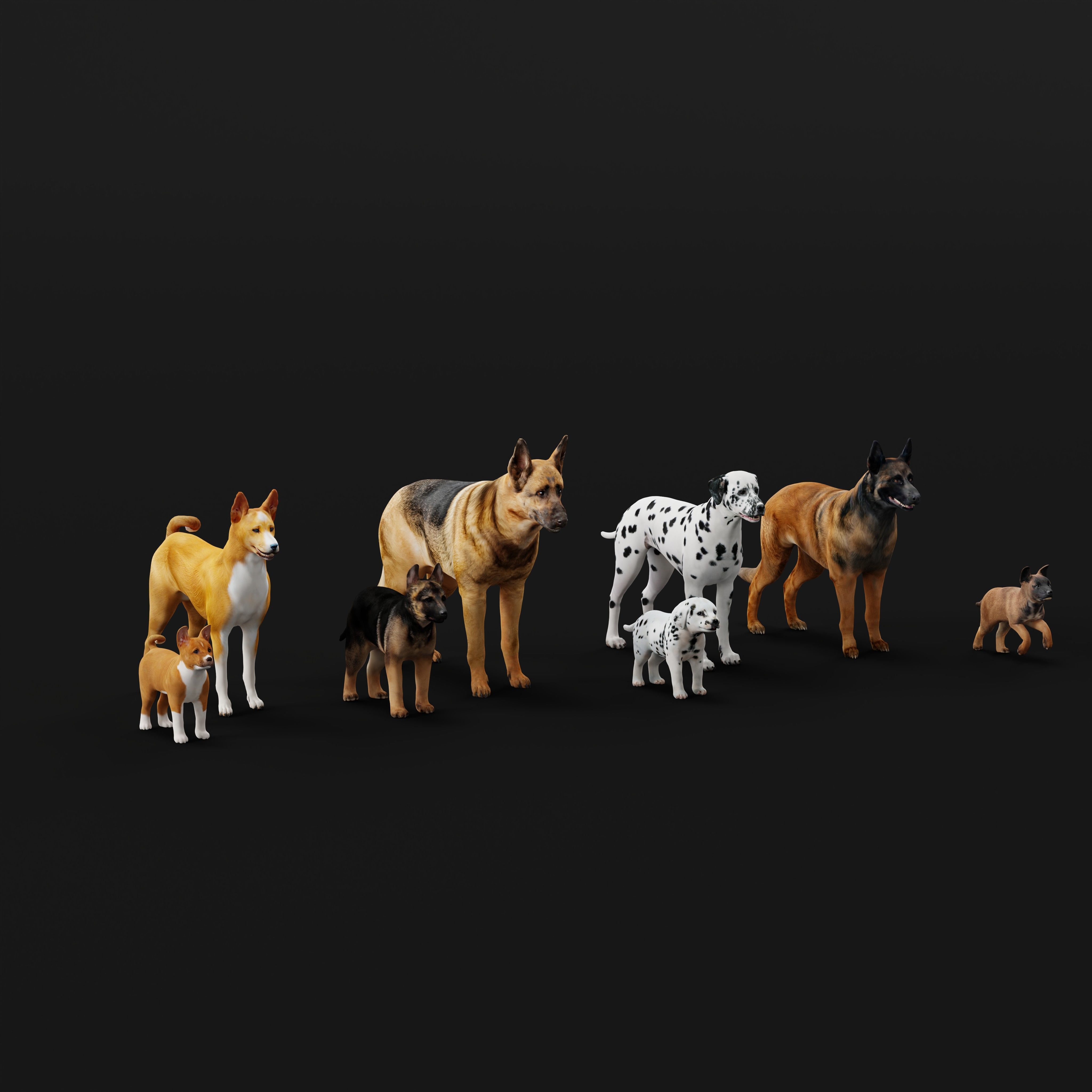 Dogs Family Assets Bundle  Low-poly 3D model_11