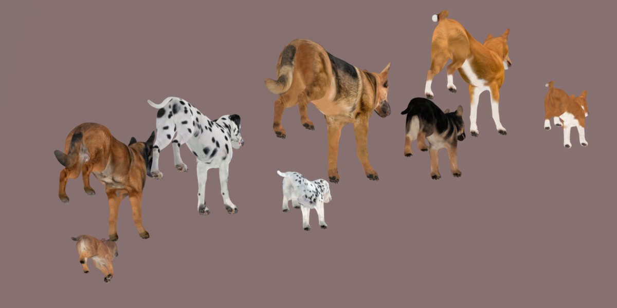 Dogs Family Assets Bundle  Low-poly 3D model_24