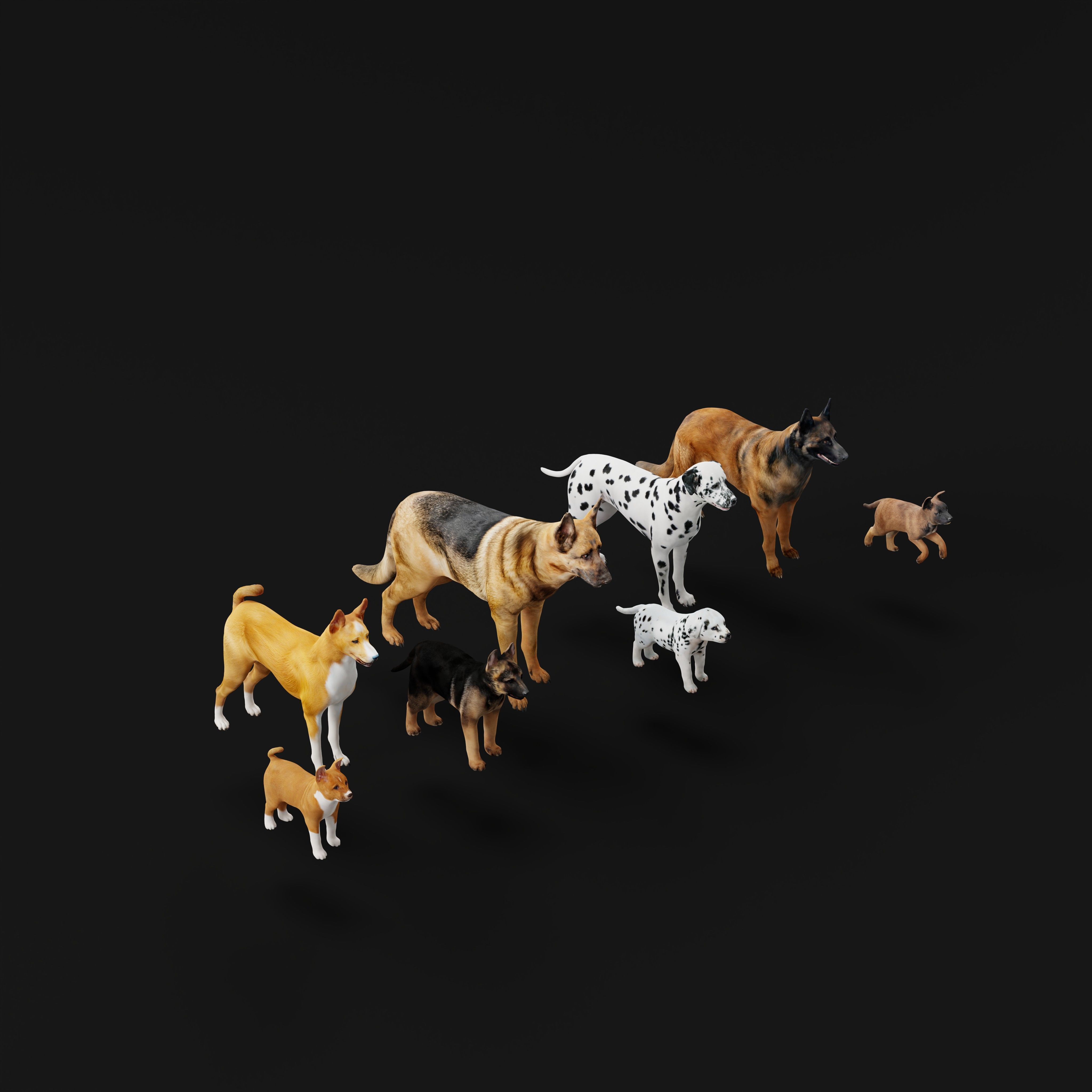 Dogs Family Assets Bundle  Low-poly 3D model_12