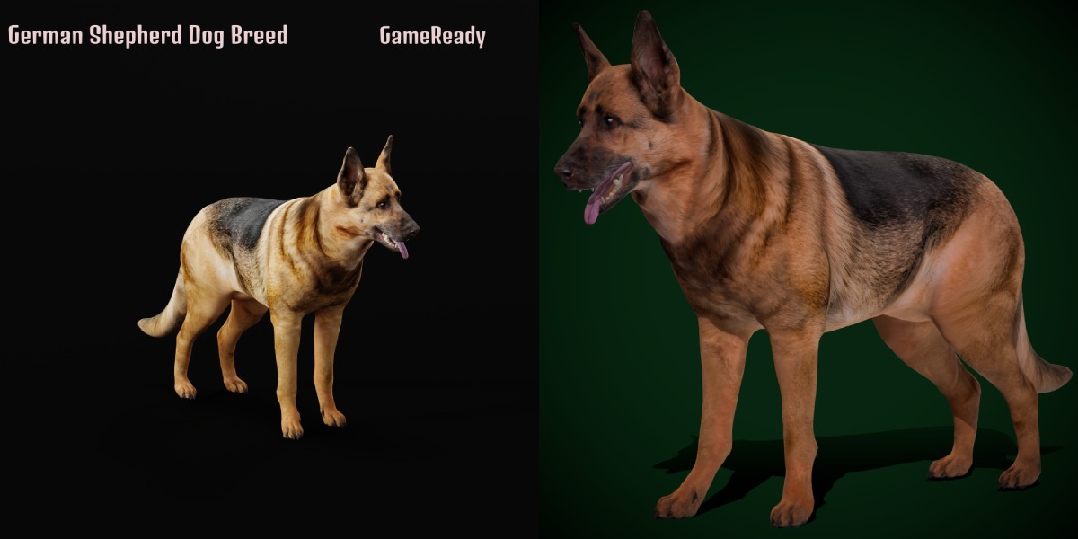 Dogs Family Assets Bundle  Low-poly 3D model_10
