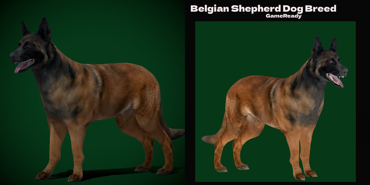 Dogs Family Assets Bundle  Low-poly 3D model_6