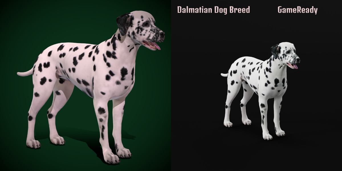 Dogs Family Assets Bundle  Low-poly 3D model_8