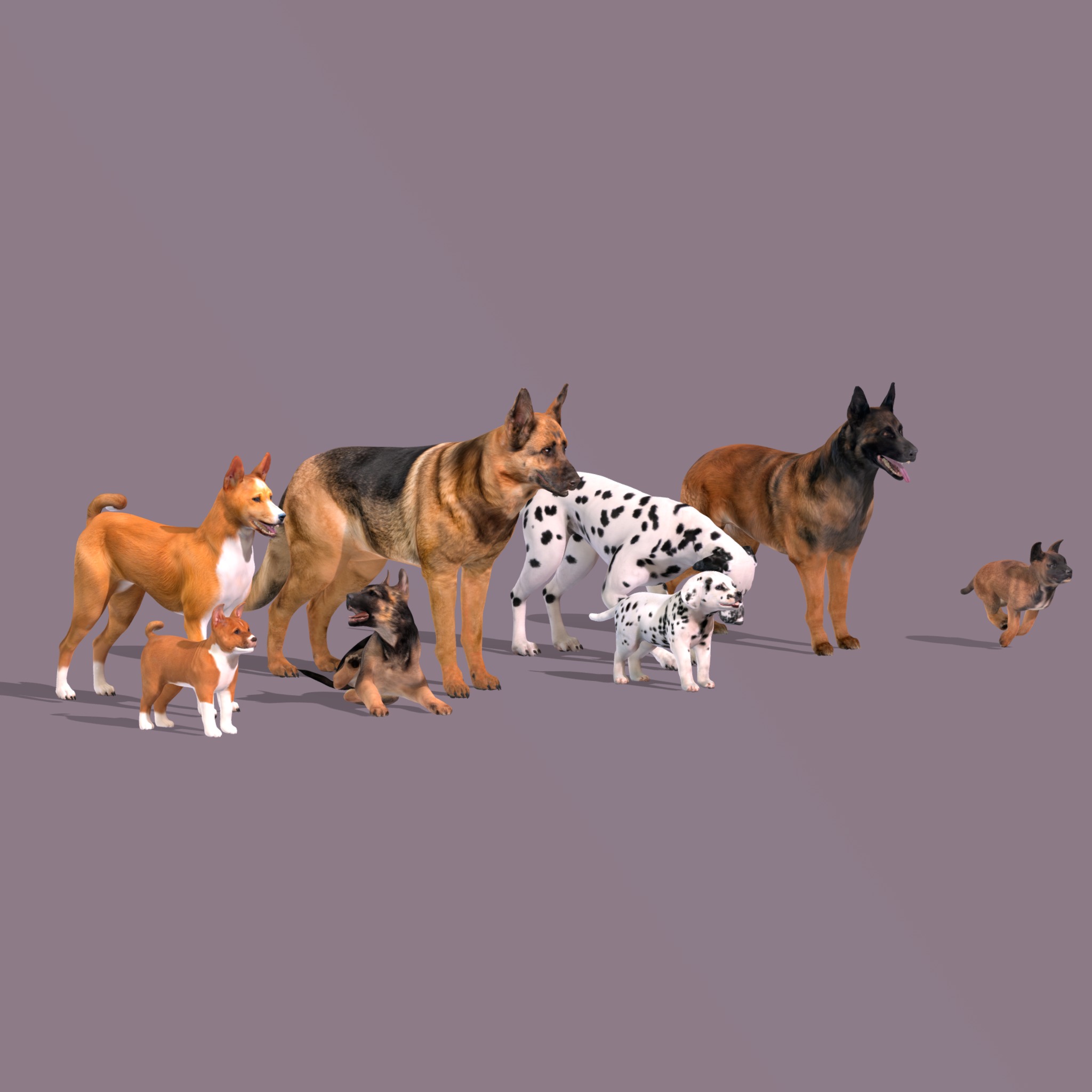 Dogs Family Assets Bundle  Low-poly 3D model_39